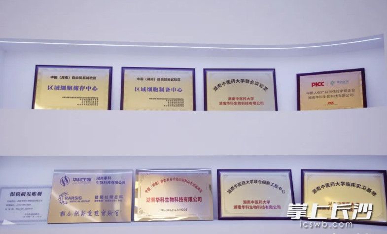 作为全省首批享受基因细胞保税政策的企业，华科生物获得从研发到生产的全链条支持。图为公司展示的区域细胞制备中心等牌匾。星沙时报全媒体记者 李丹 摄