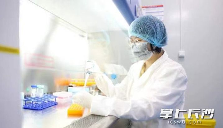 图为长沙瑞德体外生物科技有限公司实验室。盛磊 摄