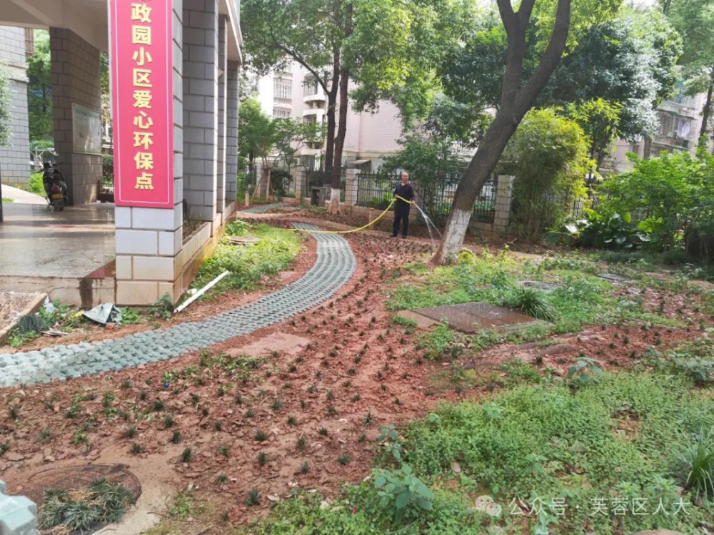 人大代表参与协商议事出资提质“微改造”环保点