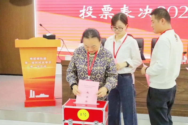 在第二次全体会议上，代表们对民生实事候选项目进行票决。