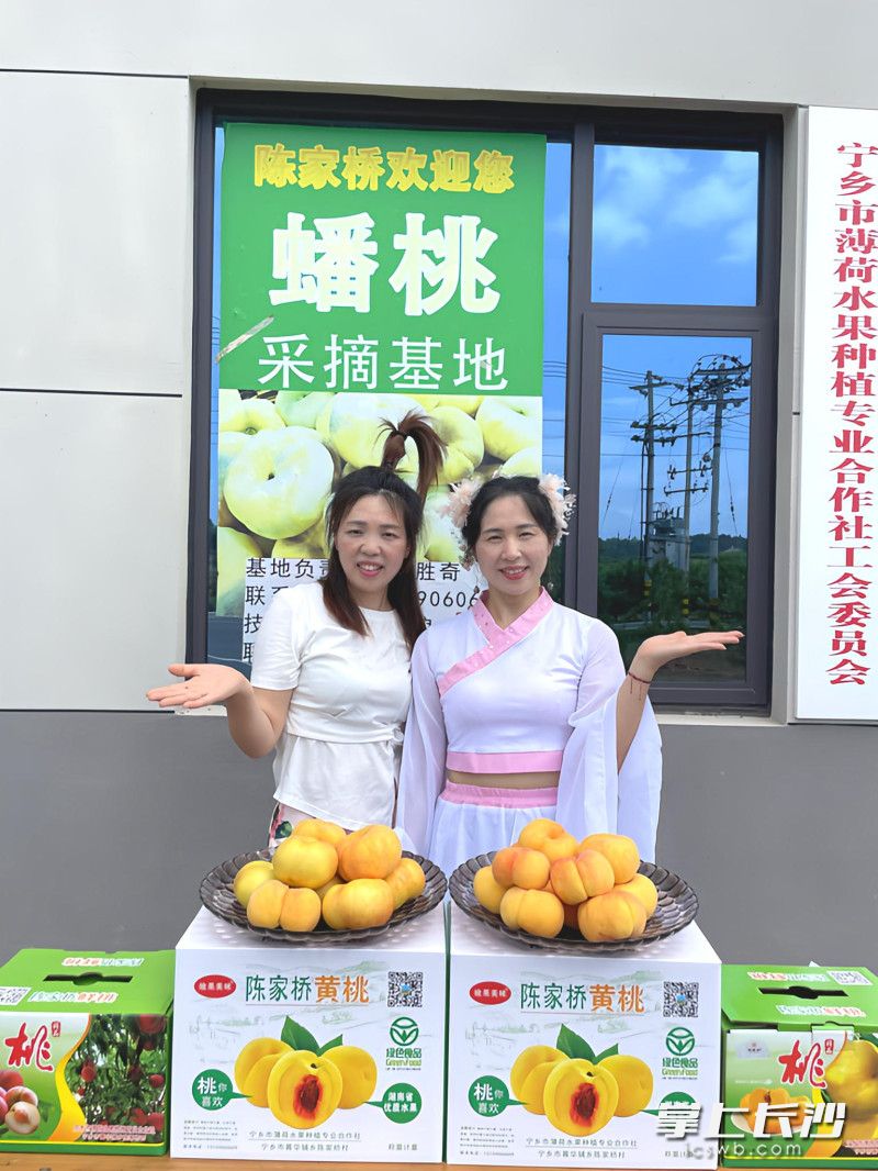 为了促销陈家桥村的水果和农特产品，乡村CEO孟金华（左）常和小伙伴进行网络直播带货。长沙晚报全媒体记者 张禹 摄