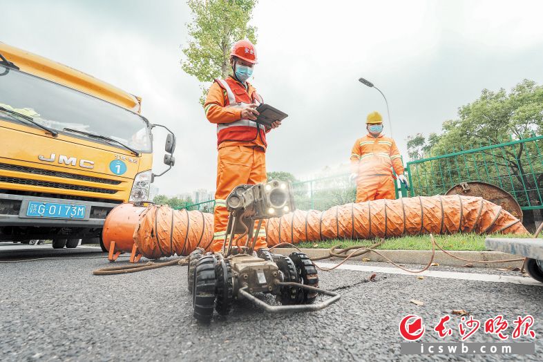 随着技术人员在平板电脑上轻点指令，一台搭载高清摄像头的“机器狗”正准备潜入地下管道进行检测。长沙晚报全媒体记者 陈飞 摄