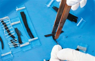 修复师夹起简牍准备绑夹。本文配图均由杨思颖摄