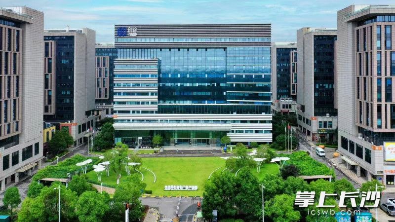 长沙天心文化（广告）产业园，如今也是大学生创新创业的“娘家”。天心经开区供图