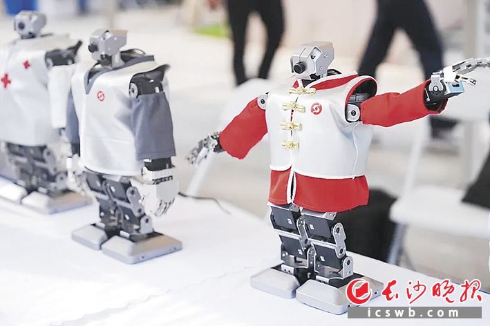 博极生命的能聊天、会跳舞的“小博”系列机器人。