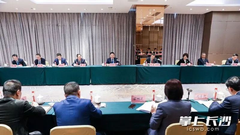 陈博彰参加岳麓区代表团审议。