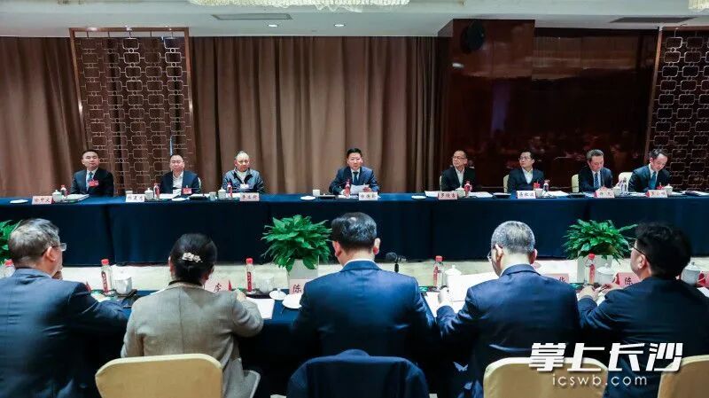 陈博彰参加长沙县代表团审议。 均为长沙晚报全媒体记者 董阳 摄