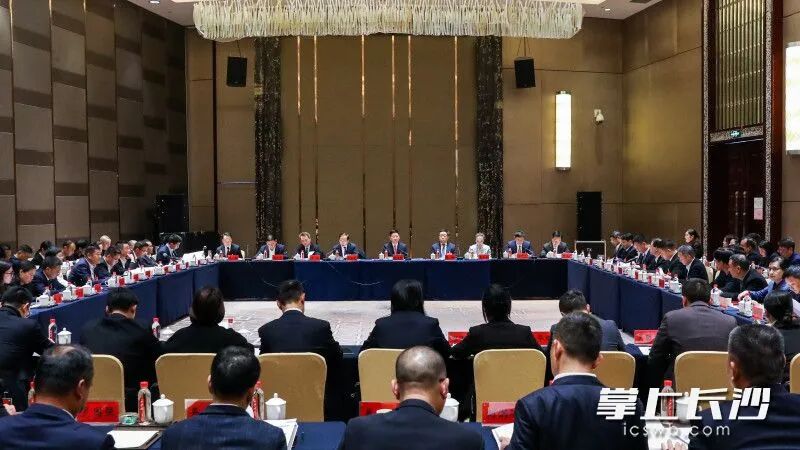 陈博彰参加浏阳市代表团审议。