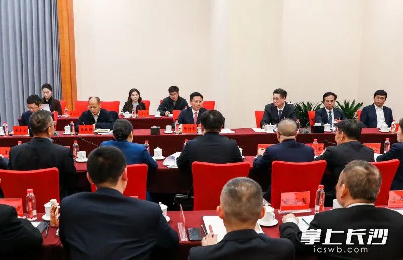 陈博彰参加芙蓉区代表团审议。