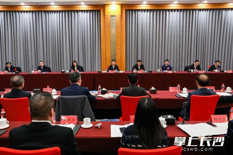 陈博彰参加开福区代表团审议。