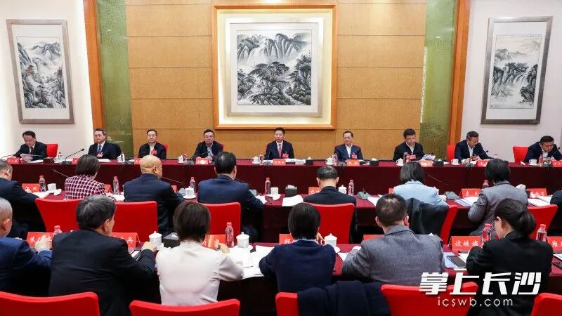 陈博彰参加望城区代表团审议。 均为长沙晚报全媒体记者 董阳 摄