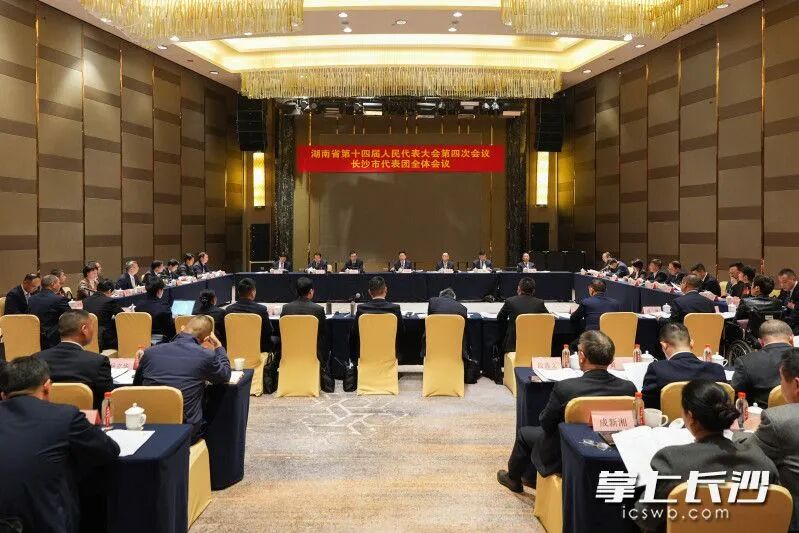 2月4日下午，省十四届人大四次会议长沙市代表团举行第五次全体会议。 长沙晚报全媒体记者 郭雨滴 摄