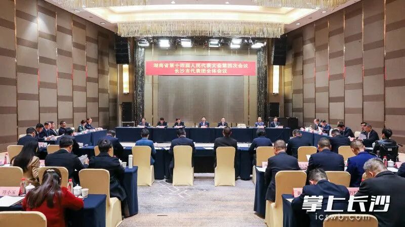 2月6日下午，省十四届人大四次会议长沙市代表团举行第八次全体会议。 长沙晚报全媒体记者 董阳 摄