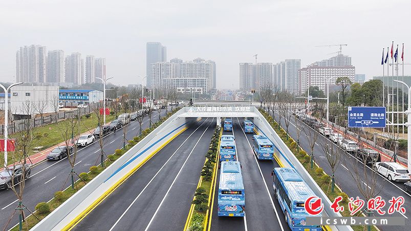 12日上午，望城区银杉路主线、雷锋大道沩水桥、望益大桥三个交通项目同步建成通车。图为银杉路通车现场。 长沙晚报全媒体记者 邹麟 摄