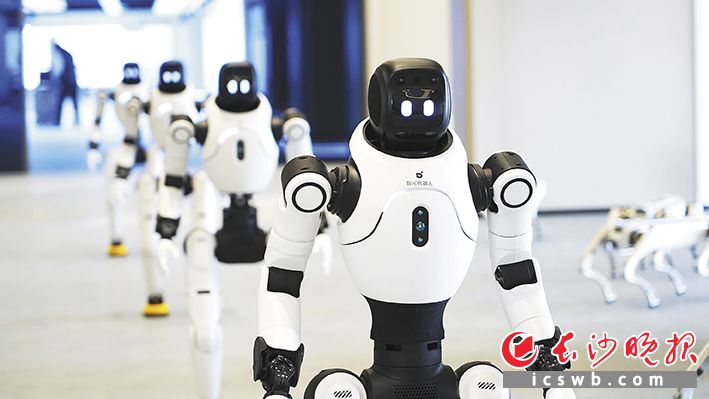 湖南具身智能创新中心集聚数十家机器人生态企业,覆盖关节模组、控制器、整机集成与行业解决方案等环节。长沙晚报通讯员 徐一鑫 供图 湖南具身智能创新中心集聚数十家机器人生态企业,覆盖关节模组、控制器、整机集成与行业解决方案等环节。长沙晚报通讯员 徐一鑫 供图