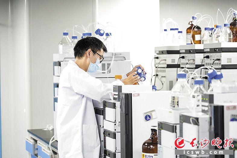 在长沙市改良型新药及高端仿制药研发技术创新中心实验室，技术人员全心投入研发。长沙晚报通讯员 黄英 供图