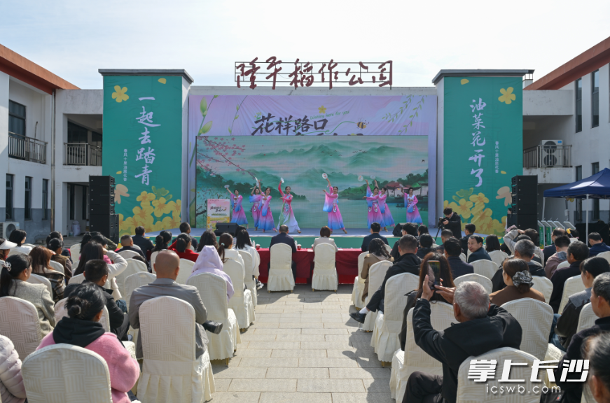 2026年路口镇全域文旅活动发布暨油菜花活动月启动仪式现场。星沙时报记者 刘思源 摄