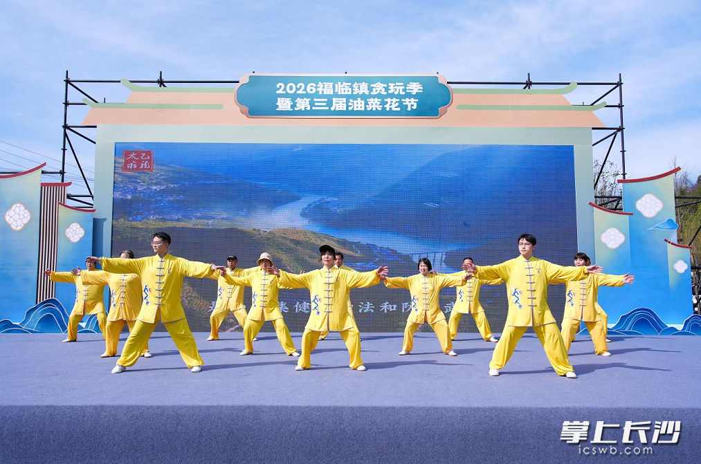 图为开幕式太乙游龙拳团体表演。均为长沙县福临镇供图