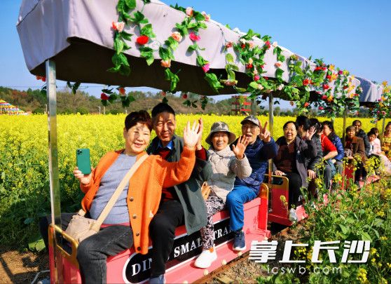 游客坐上小火车，徜徉在花海里。