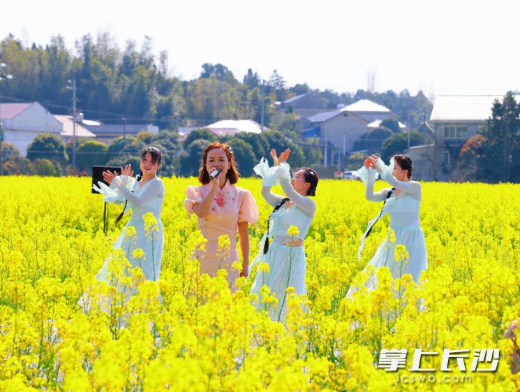 现场精彩的歌舞表演。