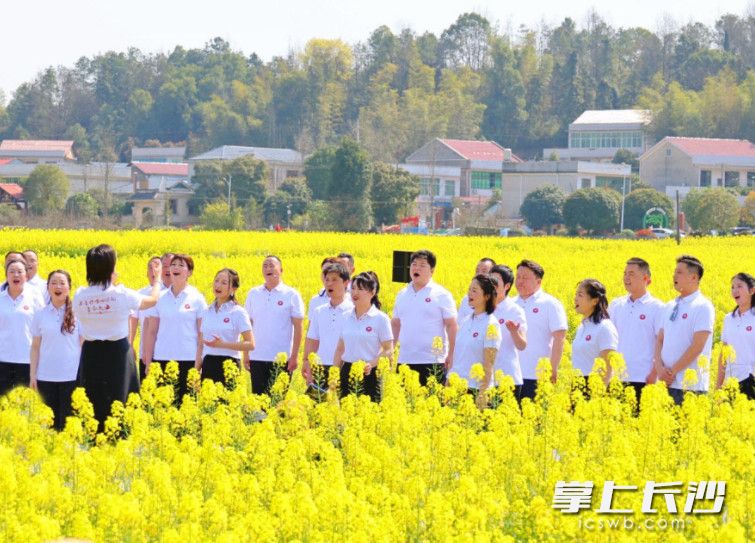 图为星沙合唱团在花海演唱。除署名外均为星沙时报全媒体记者曾诗怡摄