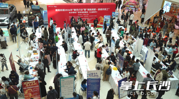 招聘会现场。均为星沙时报记者 邬振 摄