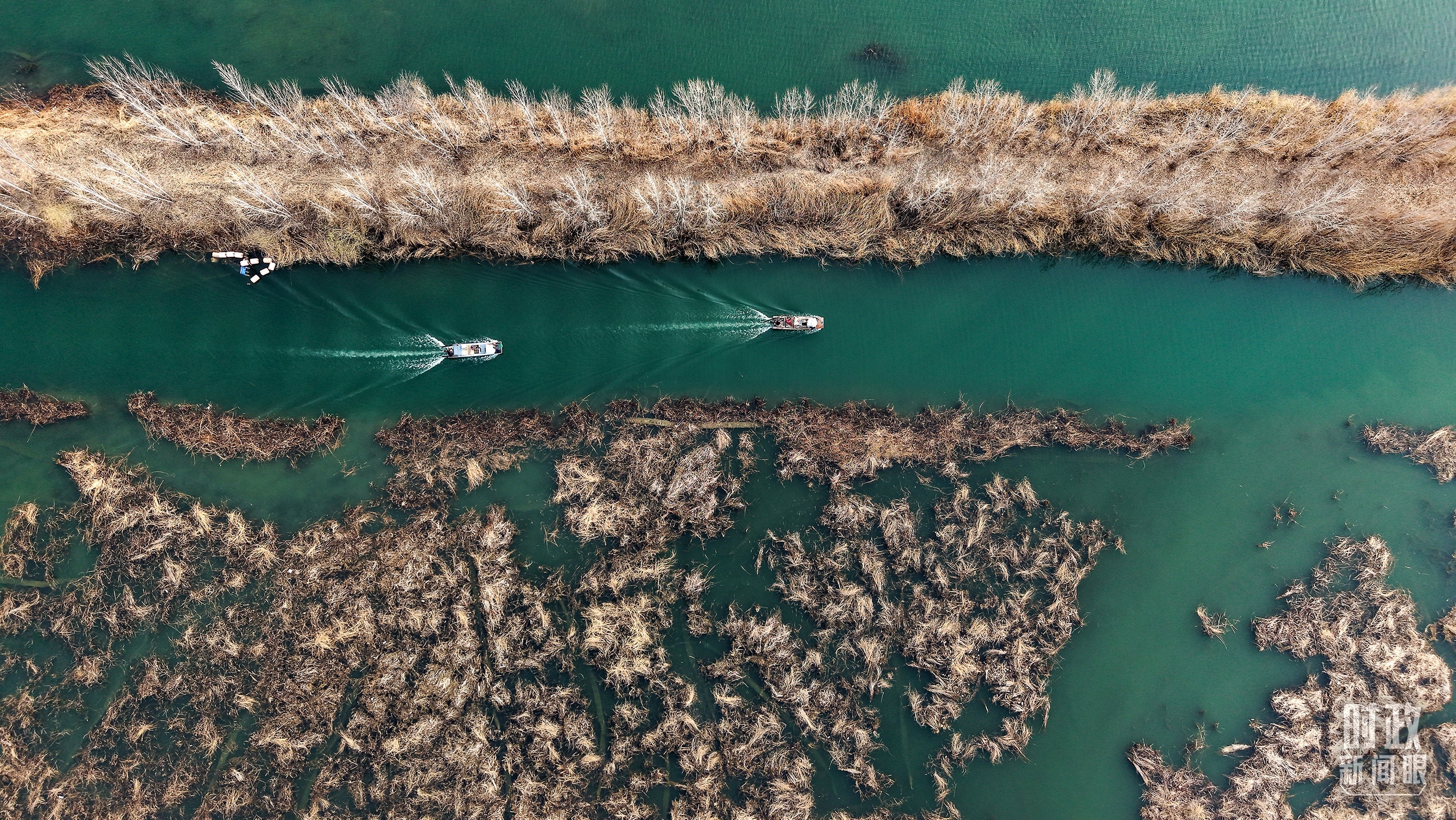 △白洋淀。(总台记者李晋拍摄) △白洋淀。(总台记者李晋拍摄)