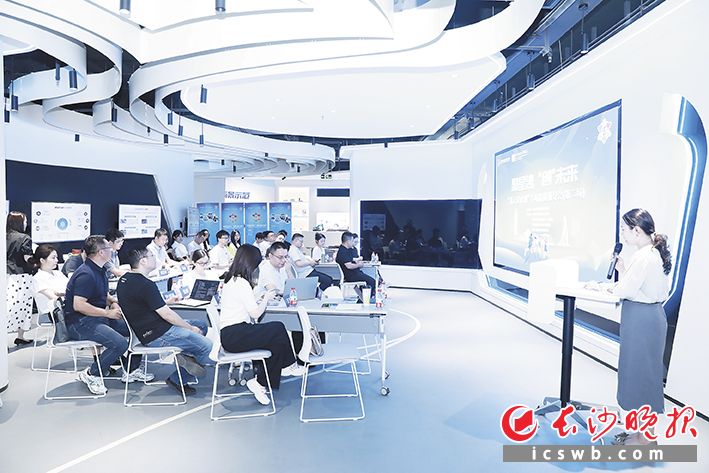 长沙经开区围绕“满天星计划”举办形式多样的主题活动，图为专场路演辅导会。均为园区供图