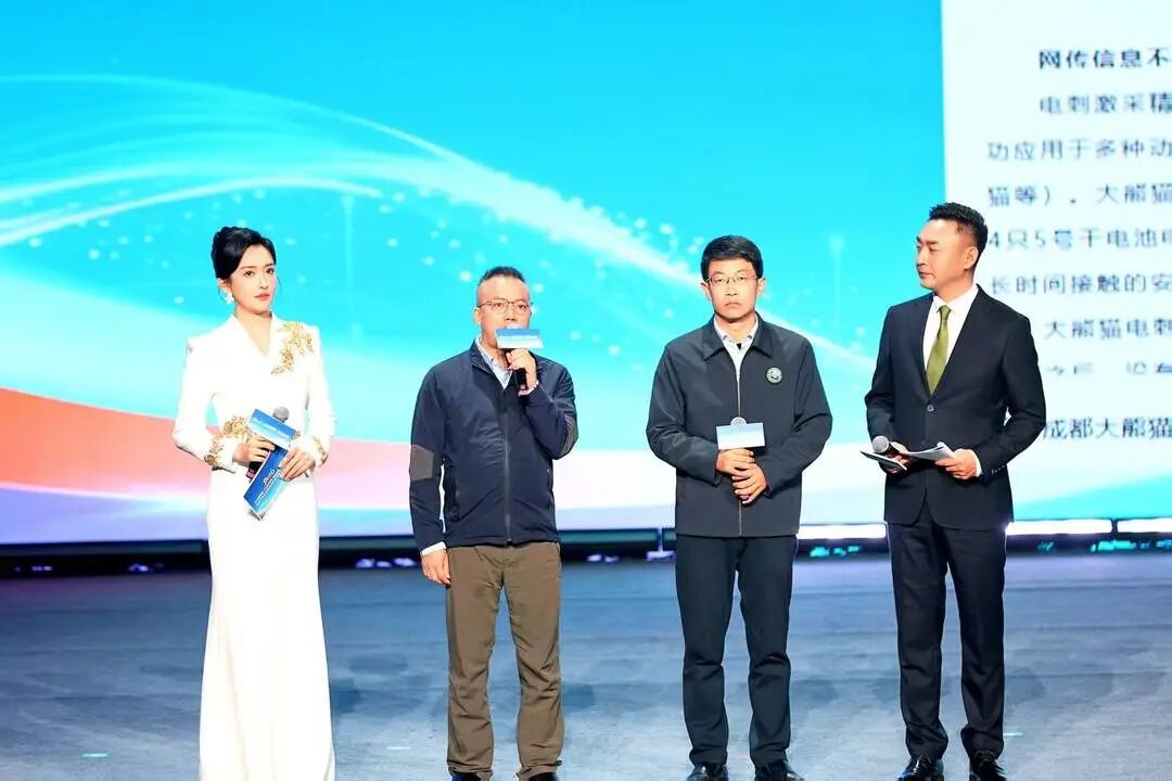 互动访谈《清朗回声:真相与新生》 互动访谈《清朗回声:真相与新生》