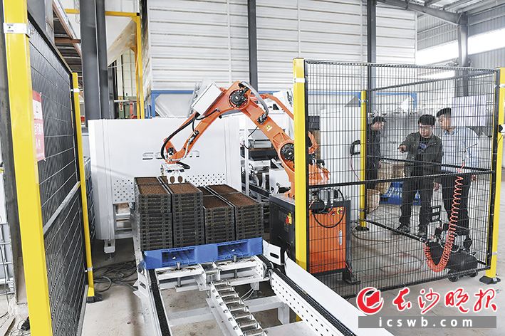 在龙虎农业的厂房内,播种成套流水线高速运转,短短几分钟,盛满红色种子与灰色基质的秧盘便整齐码放,高效便捷。均为长沙晚报全媒体记者 王志伟 摄 在龙虎农业的厂房内,播种成套流水线高速运转,短短几分钟,盛满红色种子与灰色基质的秧盘便整齐码放,高效便捷。均为长沙晚报全媒体记者 王志伟 摄