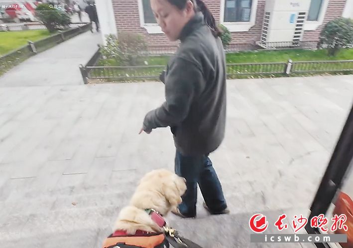 橘子洲景区工作人员全程陪护，让汪涛感受到长沙的温暖。视频截图