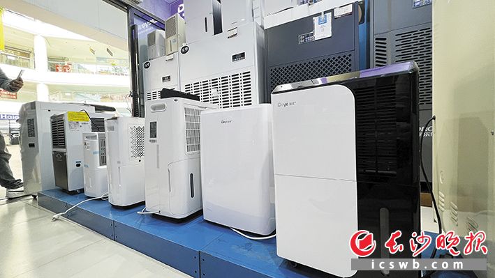 回南天里，除湿机成为热销电器。长沙晚报全媒体记者 周辉霞 摄