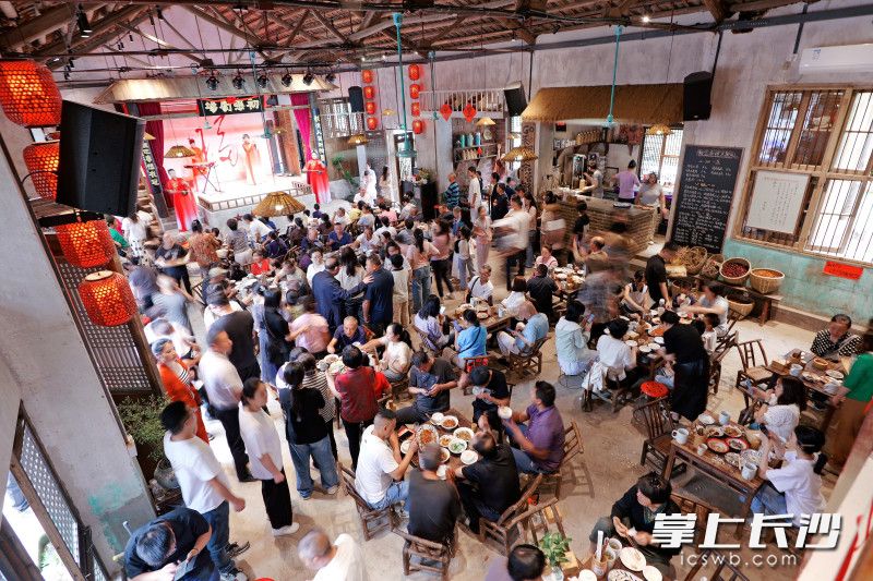 春菜尝鲜菜单吸引众多食客前来打卡品尝。