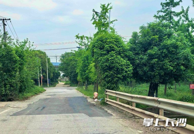 金圫村修补道路现场。金圫村供图