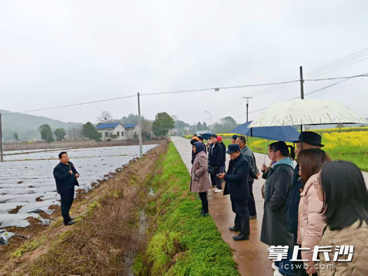 在宁乡道林镇，镇村干部现场询问村民需求，将工作落实到田埂上。均为长沙晚报全媒体记者 张禹 通讯员 文珺 摄影报道
