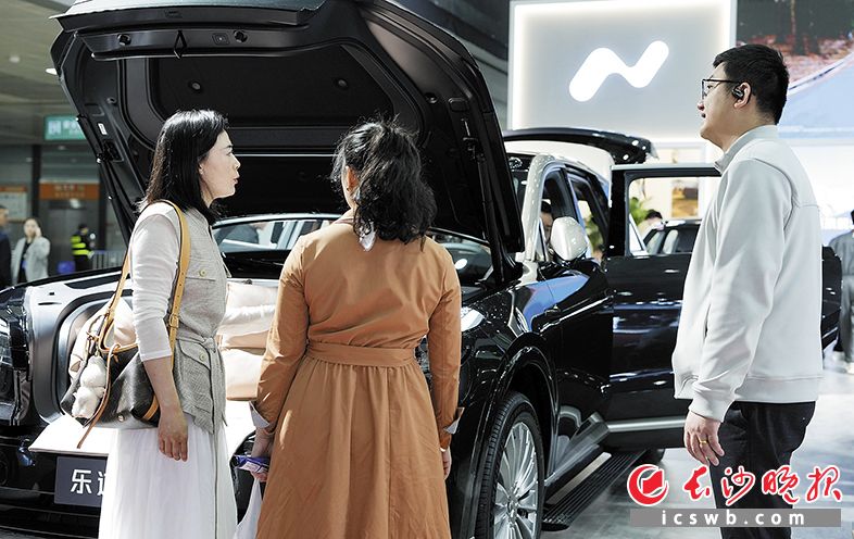 前来观展的市民正在选购自己心仪的汽车。均为长沙晚报全媒体记者 邹麟 摄
