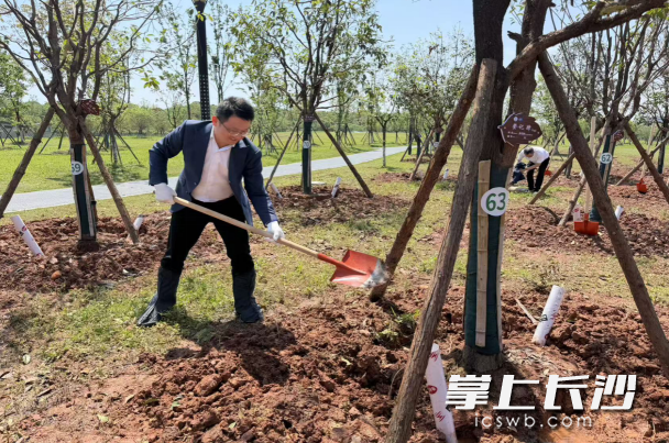 添绿松雅·聚才成林人才植树活动现场。长沙县委人才办供图