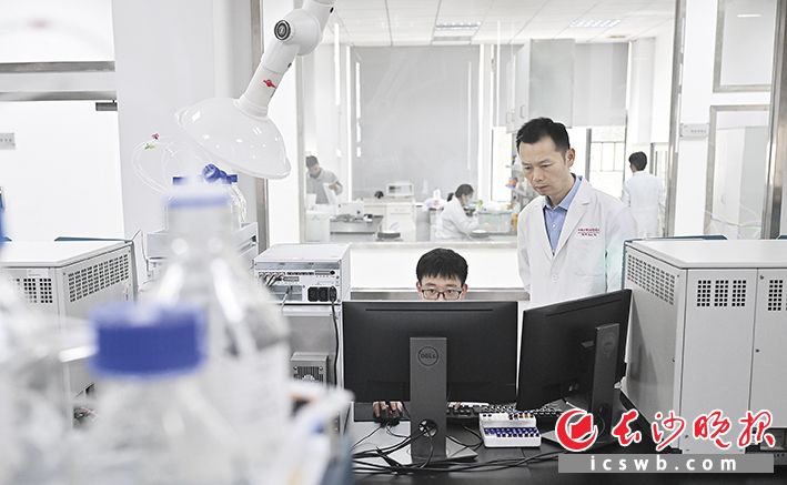 在湘雅医院临床药理研究所实验室，常务副所长张伟正在指导研究生做实验。长沙晚报全媒体记者 余劭劼 摄