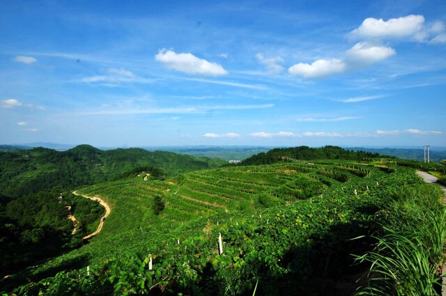 Nanmuqiao Village Nanmuqiao Village
