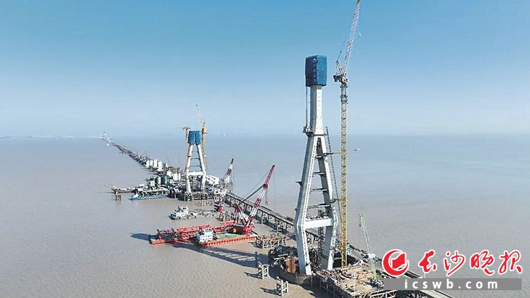 中联重科L630-50动臂塔机现场进行160号主塔吊装。中联重科供图