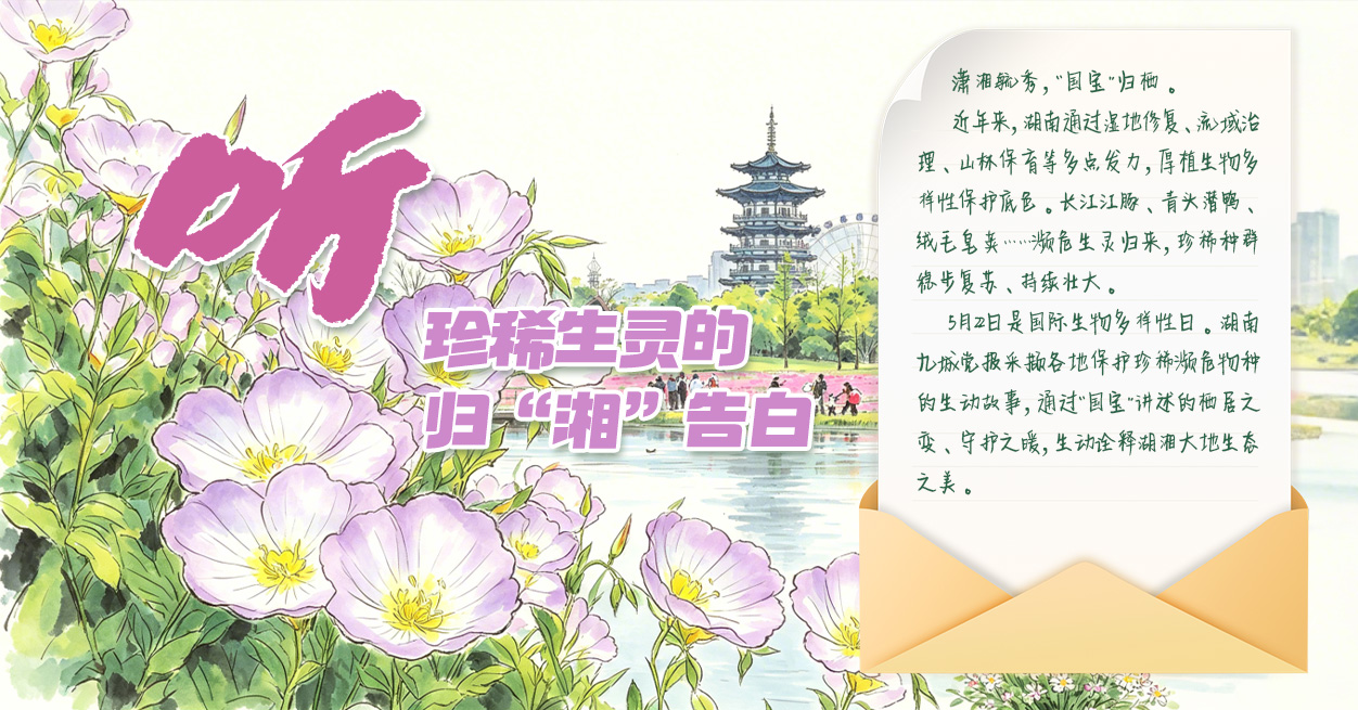 点击图片，聆听归“湘”告白