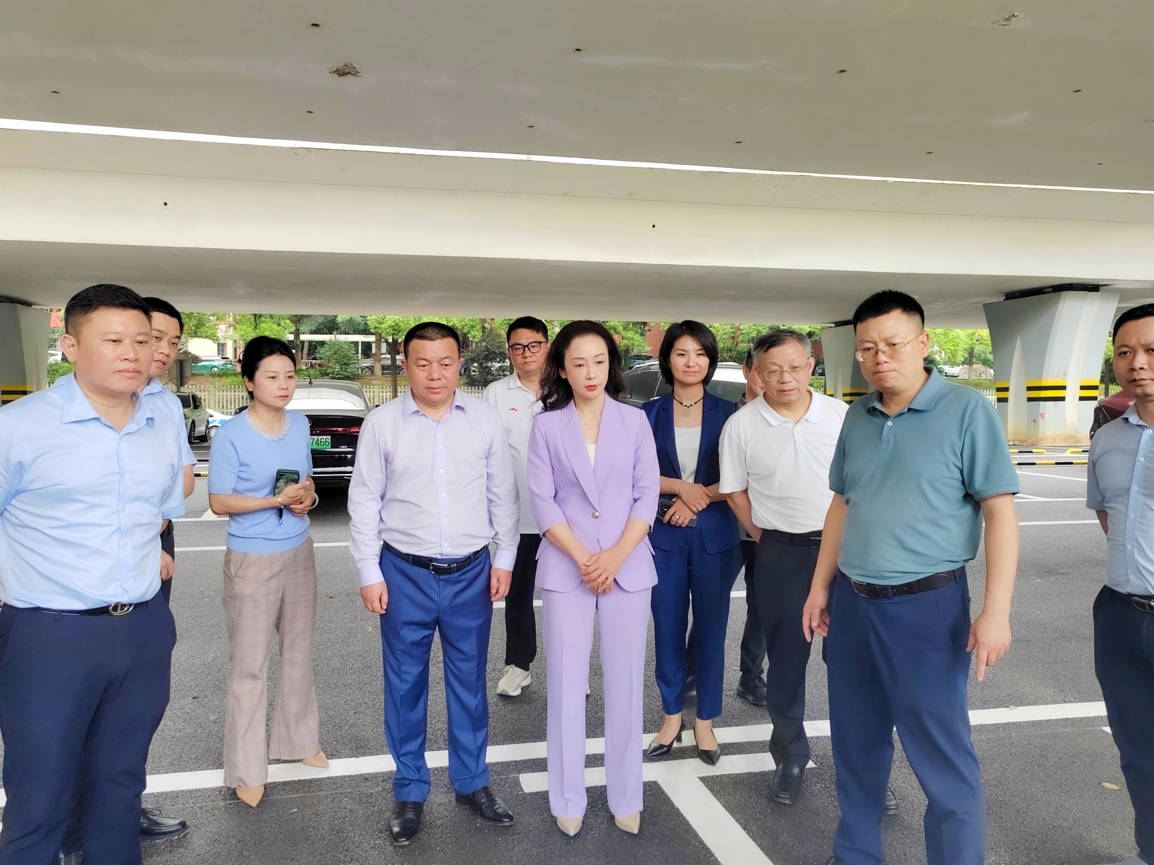 督查组调研麓天东路西二环桥下停车场。