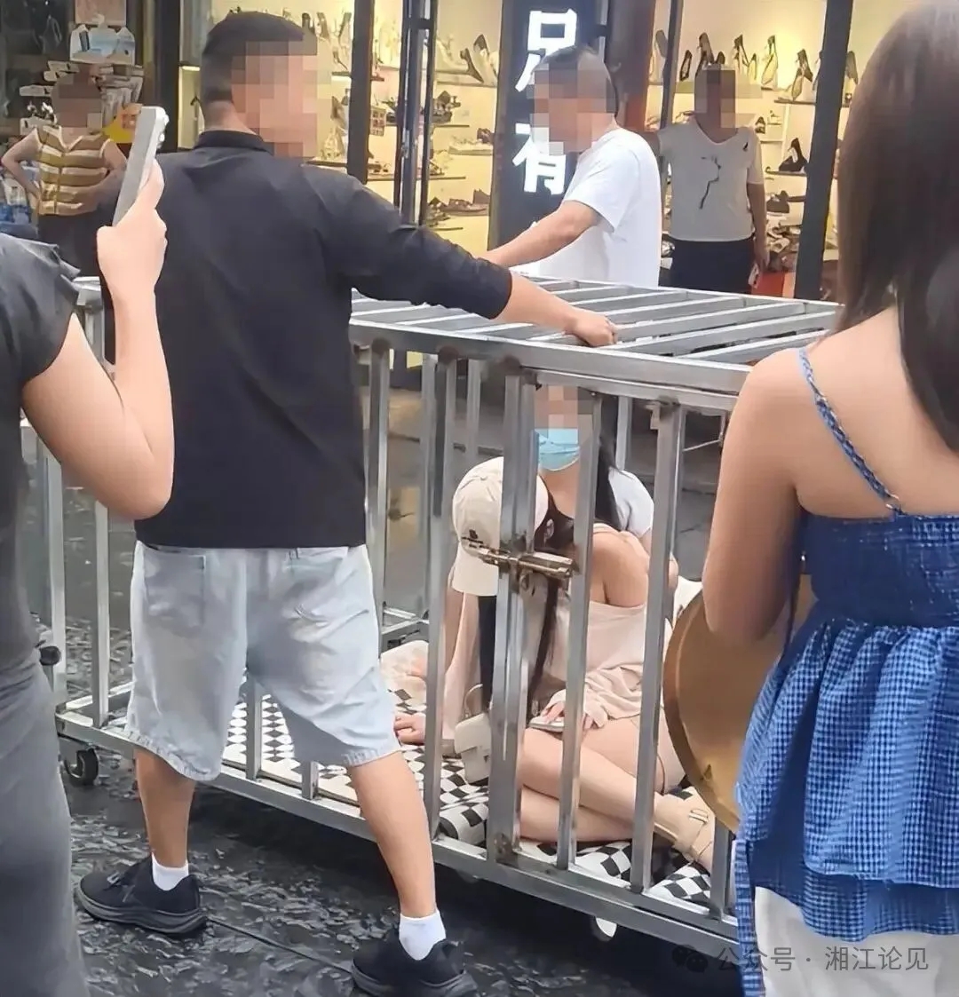 （来源：腾讯网 浙江之声）
