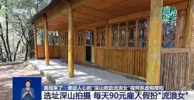 （来源：央视新闻截图）