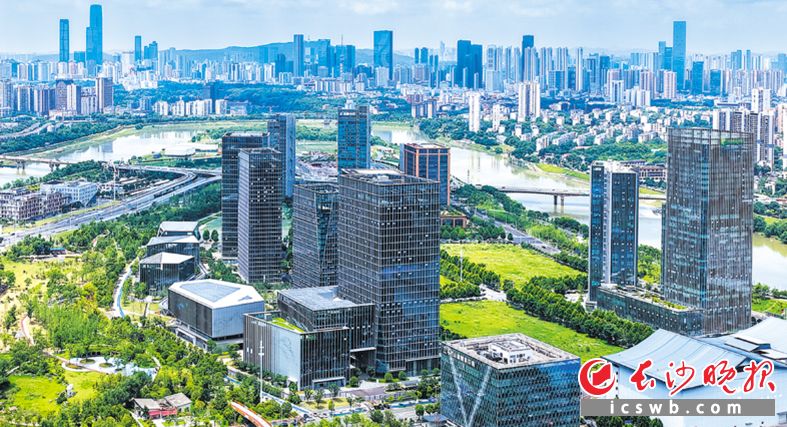 马栏山已发展成为视频文创产业高地。长沙晚报全媒体记者 黄启晴 摄