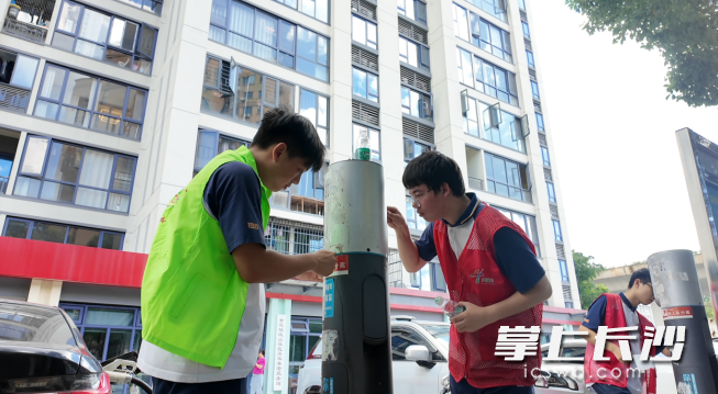 长郡中学的同学们清理充电桩上的小广告。均为供图