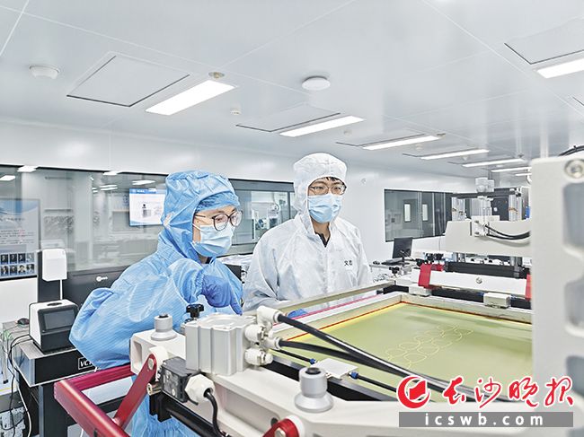 冷美英（左）与同事在实验室里做实验。长沙晚报全媒体记者 徐运源 摄