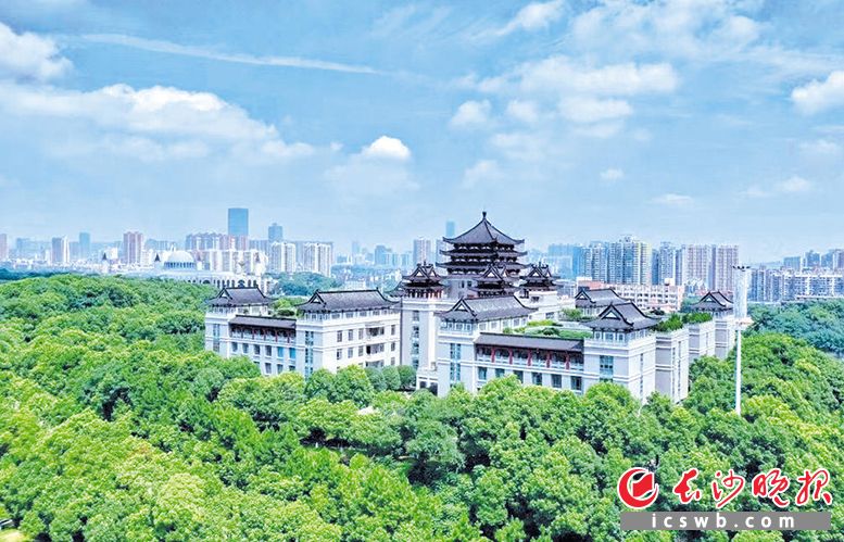 长沙民政职业技术学院正成为越来越多青年创客创新创业的梦想起步地。 何文亮 摄
