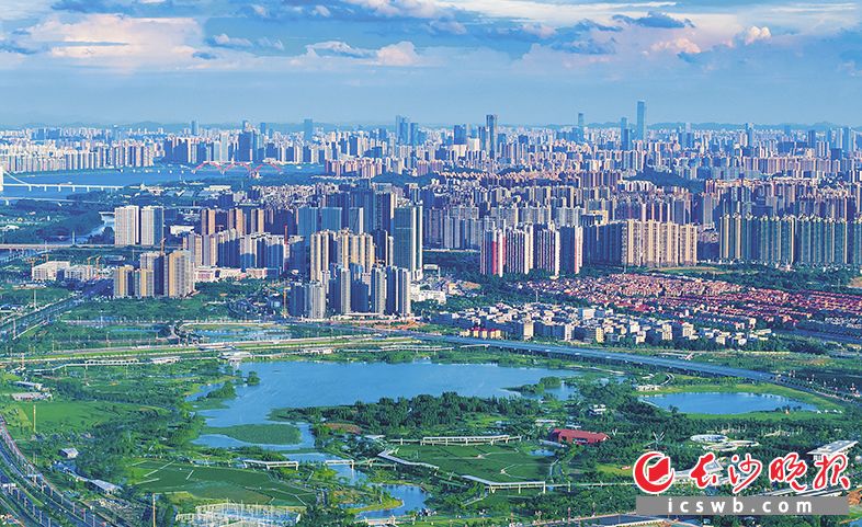 望城区大泽湖近自然湿地公园保留着近400亩耕地，是长沙耕地保护与节约集约用地融合发展的标杆示范。  长沙晚报全媒体记者 邹麟 摄