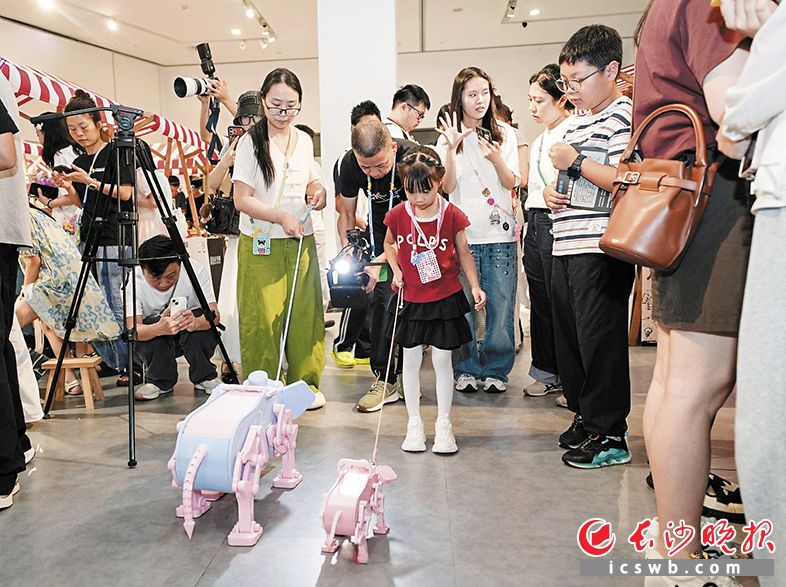3D打印的玩具在展会上备受欢迎。 主办方供图